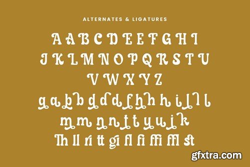 Antico Nostalgic - Serif Vintage Font 3GQSDAQ