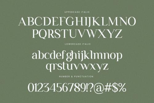 Remains Stepping Ligature Serif Font