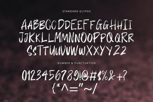 Bustro Brush Font