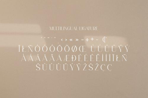 Levaus Ligature Typeface