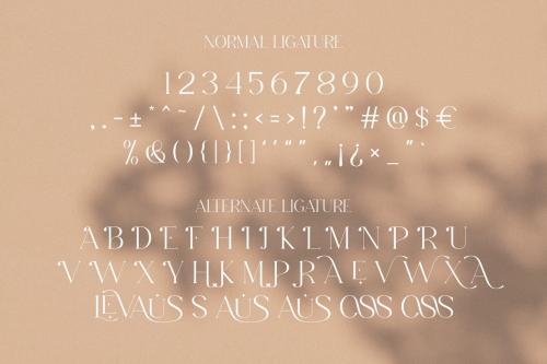 Levaus Ligature Typeface