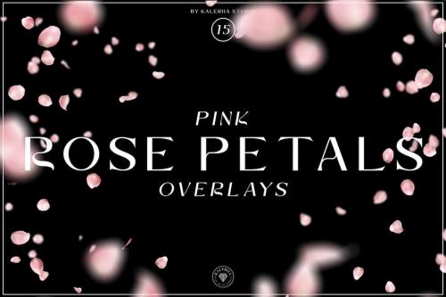 Pink Rose Petals Overlays