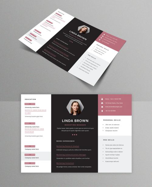 Horizontal Resume Layout with Divided Sections - 395125377