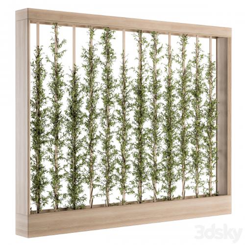 Vertical Garden Wood Frame - Plants Partition 22