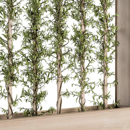 Vertical Garden Wood Frame - Plants Partition 22