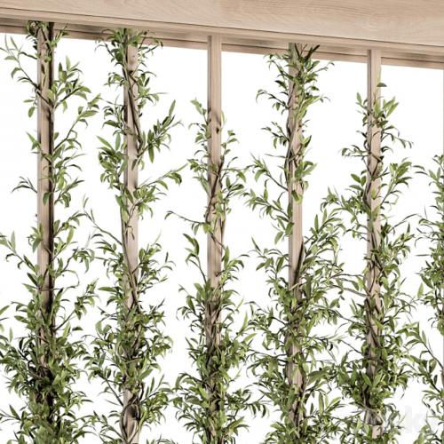 Vertical Garden Wood Frame - Plants Partition 22