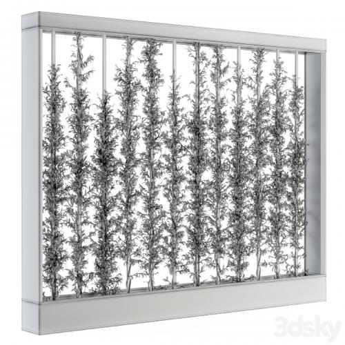 Vertical Garden Wood Frame - Plants Partition 22