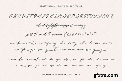 Coasty Branch - Organic Script Font E2EKPC6