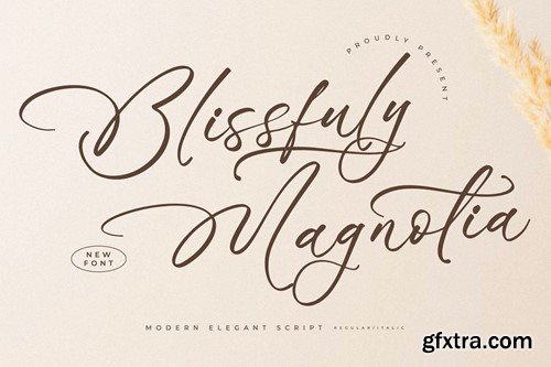 Blissfuly Magnotia Modern Elegant Serif Font 4T4HKF5