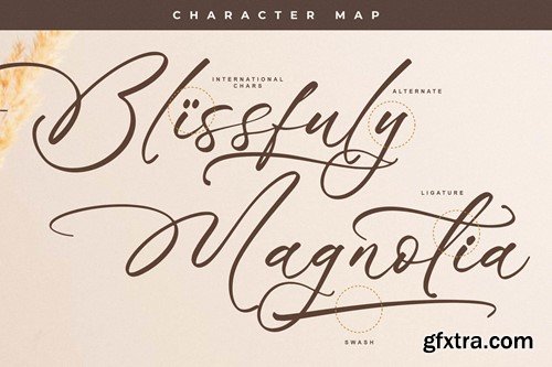 Blissfuly Magnotia Modern Elegant Serif Font 4T4HKF5