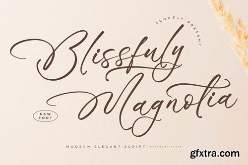 Blissfuly Magnotia Modern Elegant Serif Font 4T4HKF5