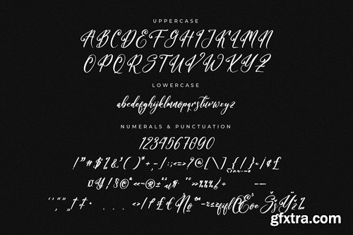 Bracetison Modern Handwritten Font F2WY9RG