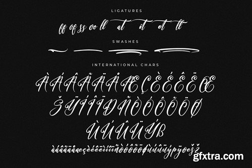 Bracetison Modern Handwritten Font F2WY9RG