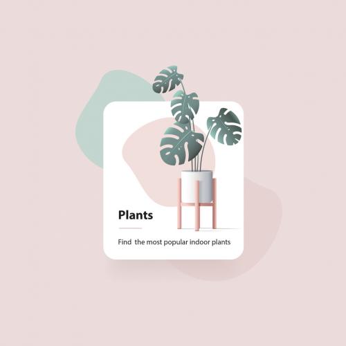 Website User Interface Card Template with Monstera Plant - 395813435