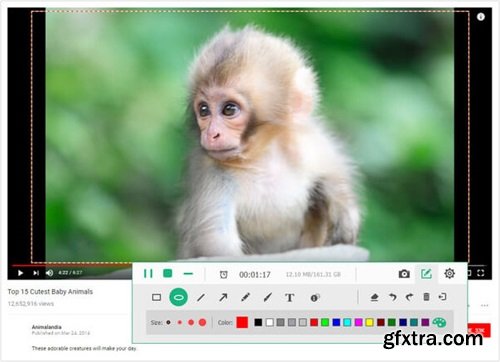 Apeaksoft Screen Recorder 2.3.12