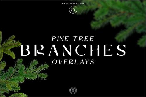 Pine Tree Branches Overlays