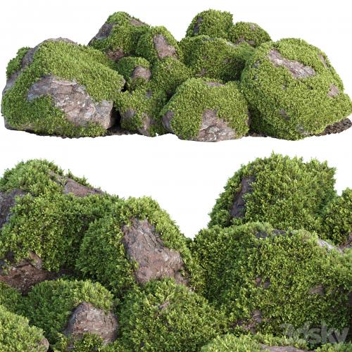 Mossy rock garden collection vol 140