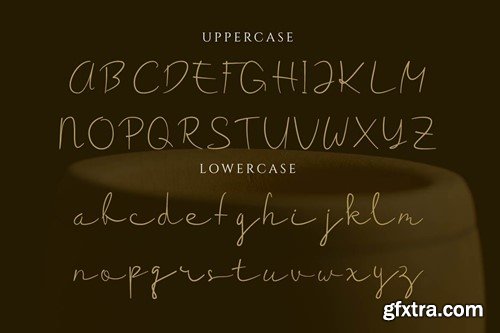 Nirvana Script Typeface L2V3XL5