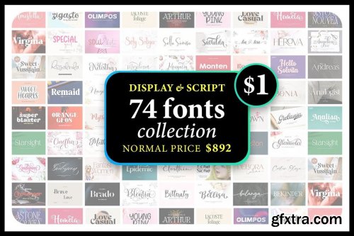 Display & Script Font Collection 41626072