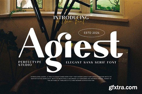 Agiest Elegant Sans Serif Font Typeface P7E7CVN