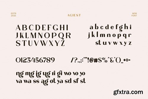 Agiest Elegant Sans Serif Font Typeface P7E7CVN