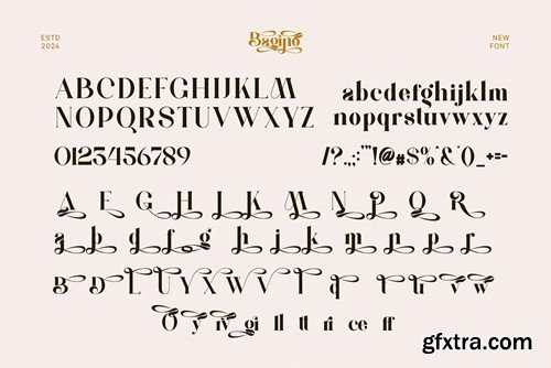 Bagino Elegant Serif Font Typeface VZY5VGG