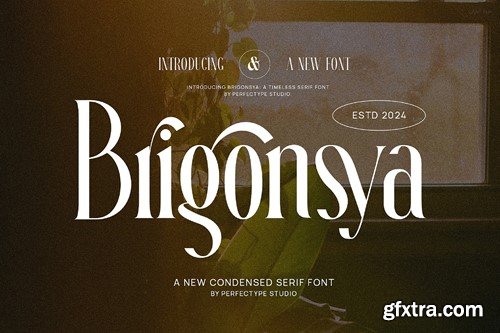 Brigonsya Elegant Ligature Serif Font Typeface 8Y9XRS2