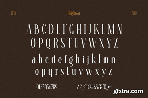 Brigonsya Elegant Ligature Serif Font Typeface 8Y9XRS2