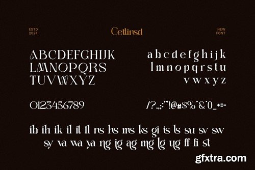 Cettinsd Elegant Serif Font Typeface GXRUHK2