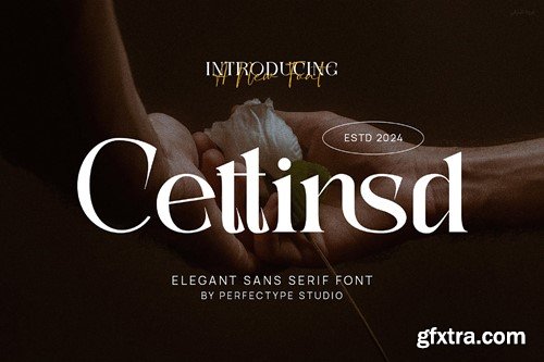 Cettinsd Elegant Serif Font Typeface GXRUHK2