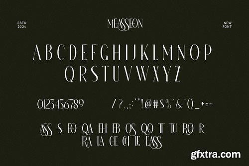 Measseon Elegant Ligature Serif Font Typeface 254SDH6