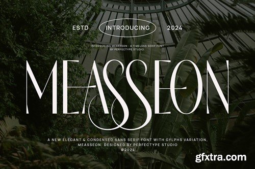 Measseon Elegant Ligature Serif Font Typeface 254SDH6