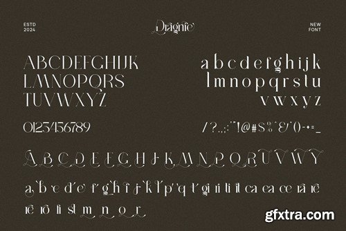 Dragnie Elegant Ligature Serif Font Typeface ENEWQCT