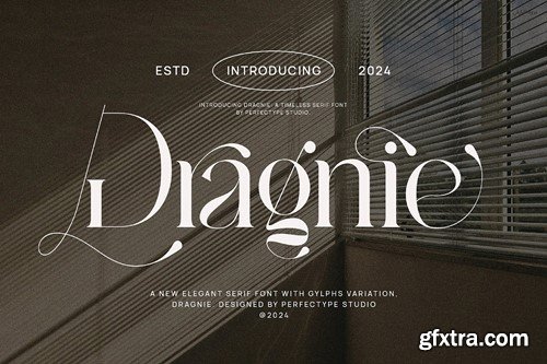 Dragnie Elegant Ligature Serif Font Typeface ENEWQCT