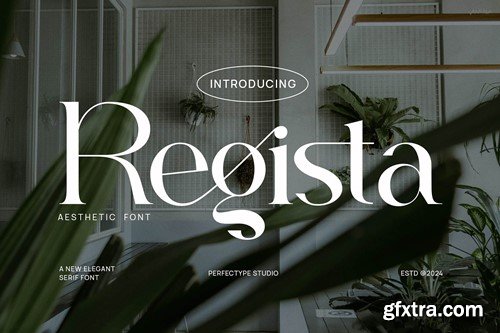 Regista Elegant Ligature Serif Font Typeface U4YXYJ9