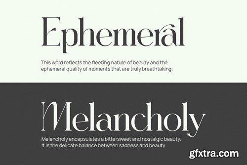 Regista Elegant Ligature Serif Font Typeface U4YXYJ9