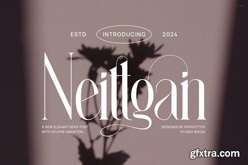 Neittgan Elegant Ligature Serif Font Typeface NW93RSW