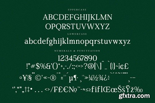 Gardmun Kinsley Modern Serif Font 8WV8RE5