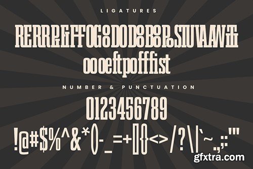 Pirrieboo - Serif Font W4DDQ55