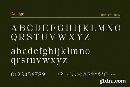 Camige - Classy & Stylish Serif V34TBMX