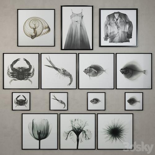 Restoration Hardware Nick Veasey x-ray photography