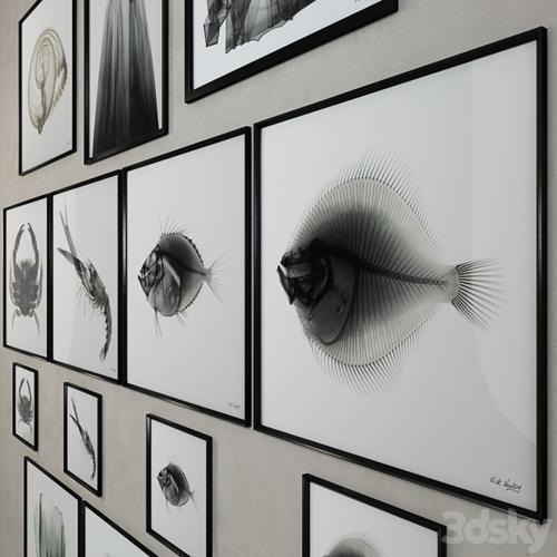 Restoration Hardware Nick Veasey x-ray photography