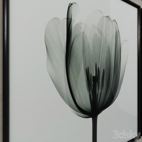 Restoration Hardware Nick Veasey x-ray photography