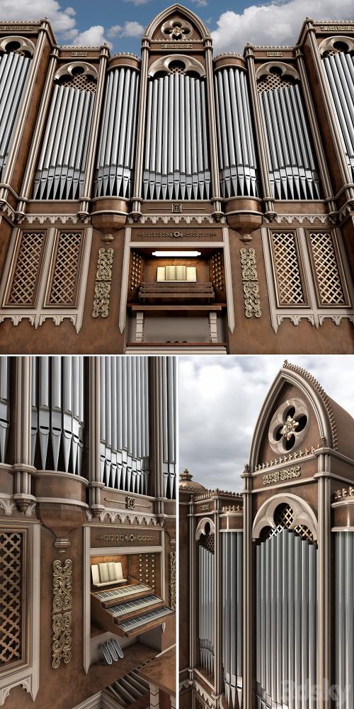 Organ