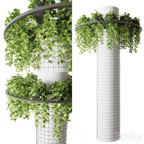 Column with hanging plants (epipremnum)