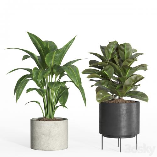 indoor plant set 35-concrete and metal pot