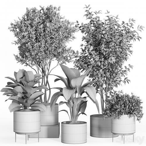 indoor plant set 35-concrete and metal pot