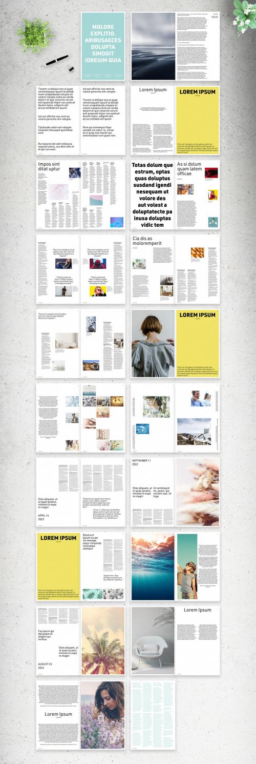 Modern Tabloid Newspaper Layout - 402933039