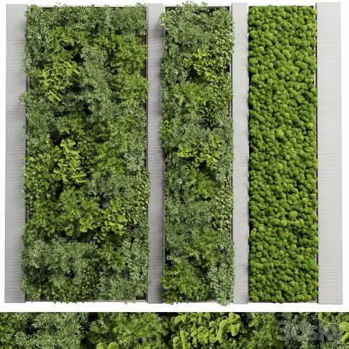 Concrete frame Vertical garden plant and moss garden wall decor box 66