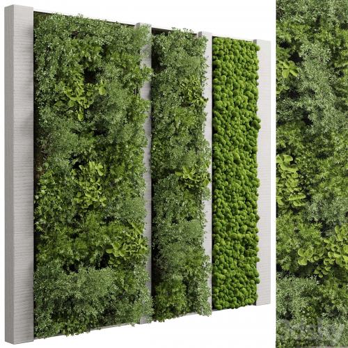 Concrete frame Vertical garden plant and moss garden wall decor box 66